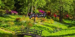 موضوع عن المنتزه بالإنجليزي