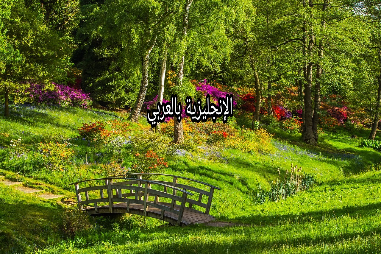 موضوع عن المنتزه بالإنجليزي