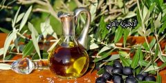 تعبير أو برجراف عن زيت الزيتون بالإنجليزي والعربي
