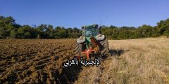 موضوع عن عمالة الأطفال بالإنجليزي