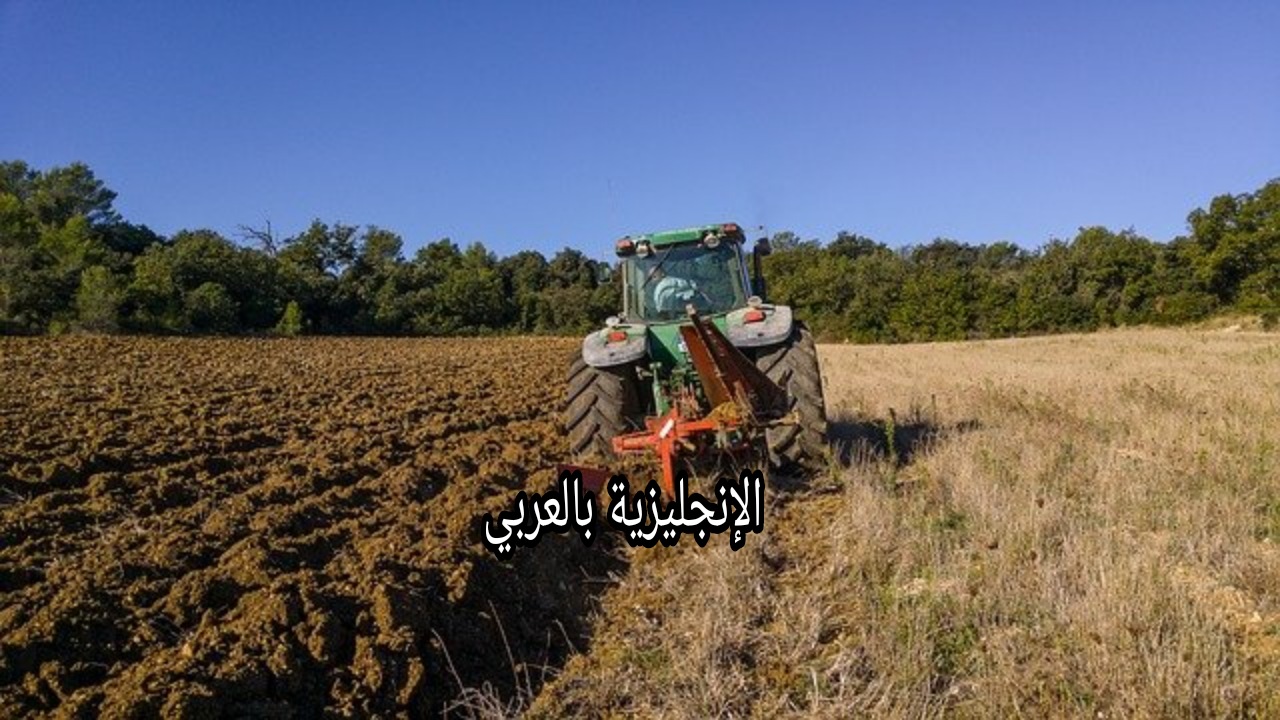موضوع عن عمالة الأطفال بالإنجليزي