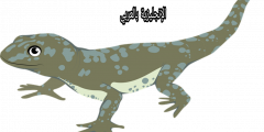 موضوع عن العضاية بالإنجليزي