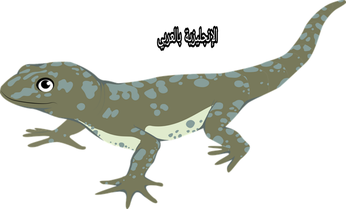 موضوع عن العضاية بالإنجليزي