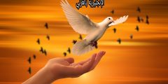 موضوع عن الحرية بالإنجليزي والعربي
