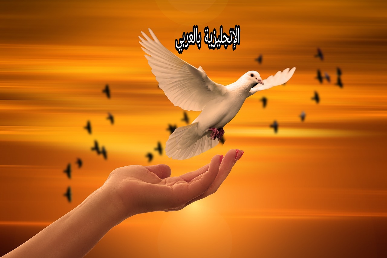 موضوع عن الحرية بالإنجليزي والعربي