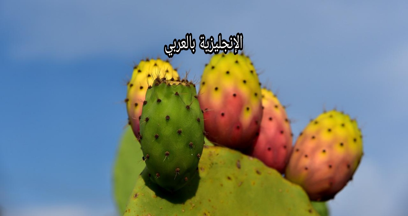 موضوع عن التين بالإنجليزي والعربي