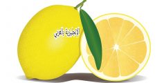 تعبير أو برجراف عن شجرة الليمون بالإنجليزي والعربي