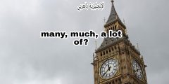 الفرق بين much و many و a lot of في الإنجليزية