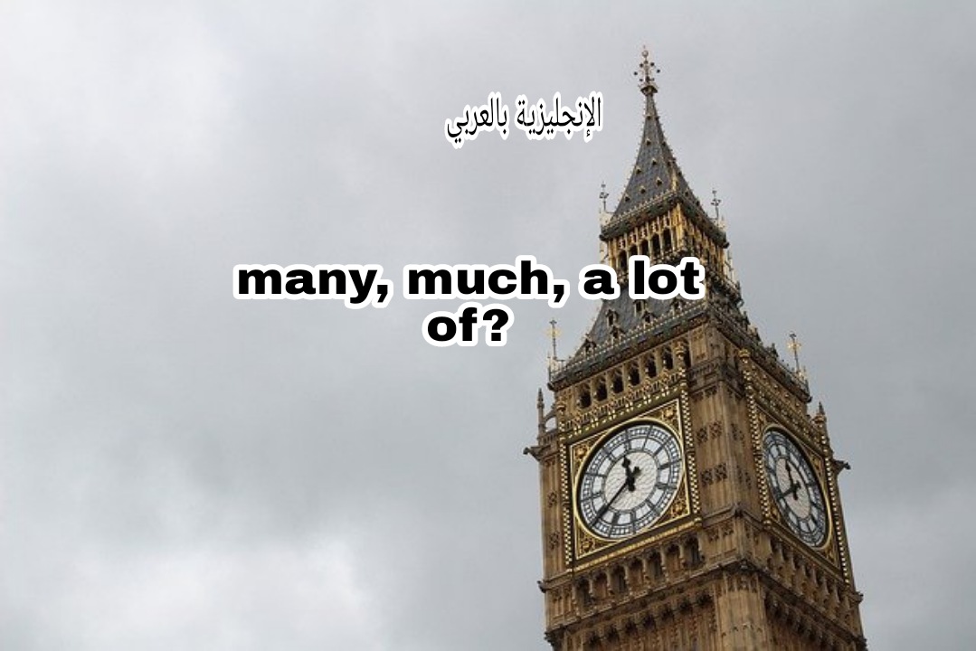 قاعدة much, many, lot of بالإنجليزي