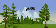 موضوع عن الصنوبر بالإنجليزية