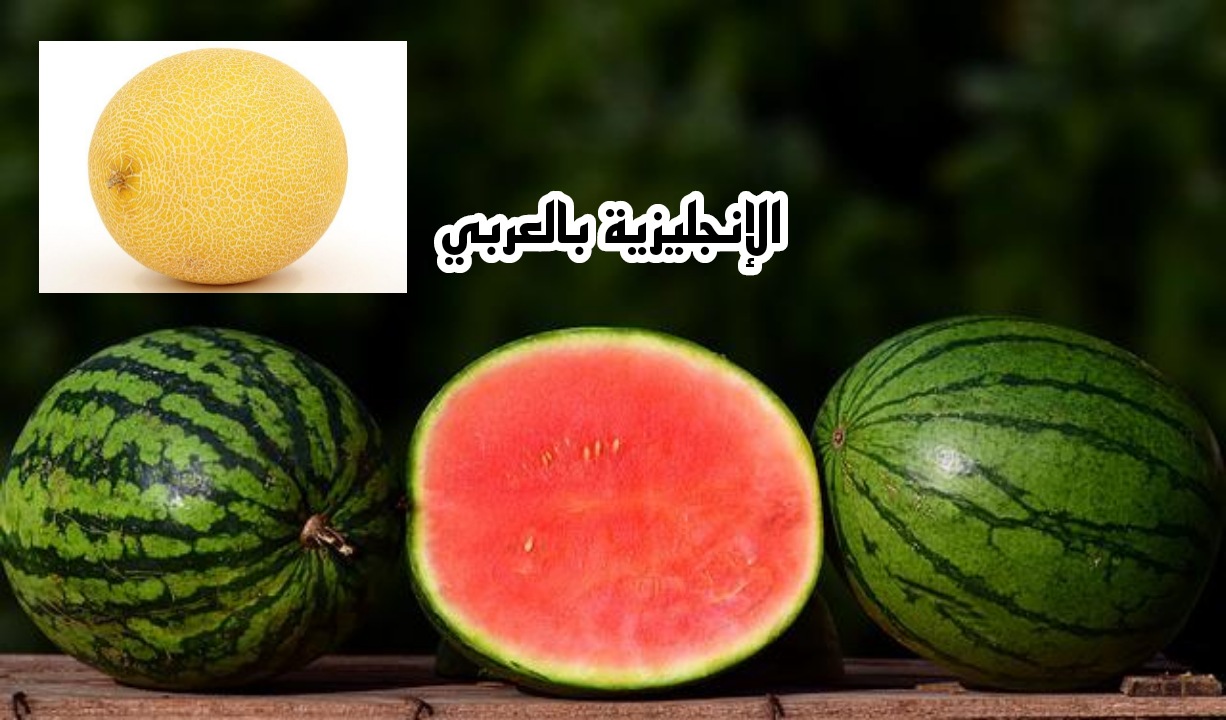 موضوع عن البطيخ والدلاع بالإنجليزي