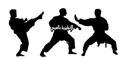 تعبير أو برجراف عن رياضة الكاراتيه بالإنجليزي والعربي