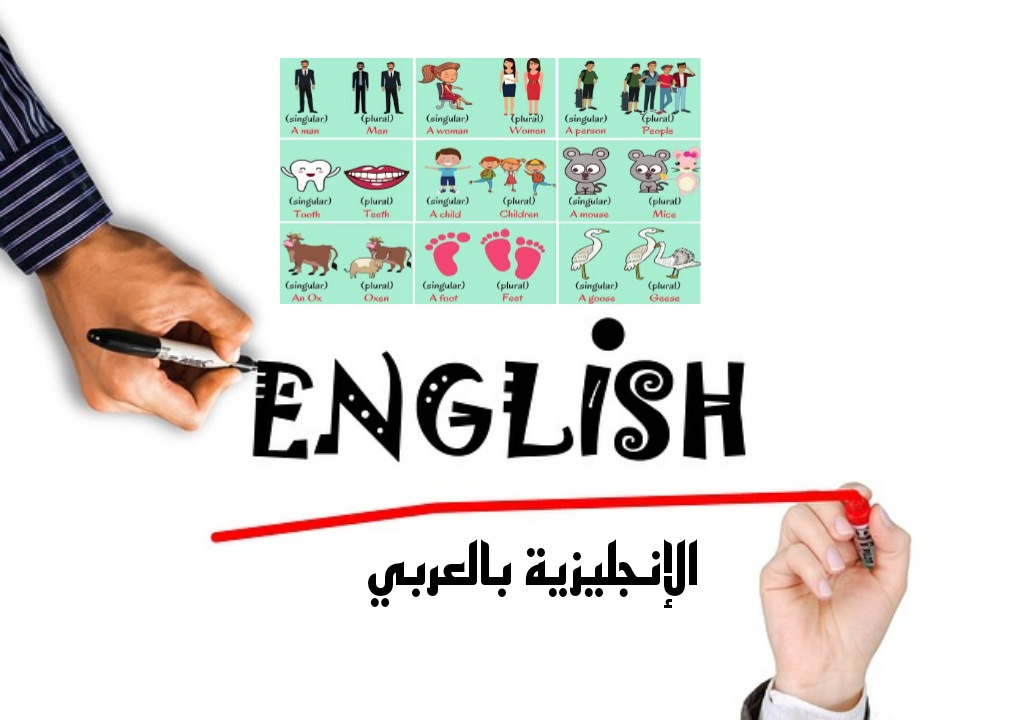 قاعدة الجمع النظامي والغير نظامي بالإنجليزي