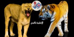 أسماء حيوانات الثدييات بالإنجليزي والعربي