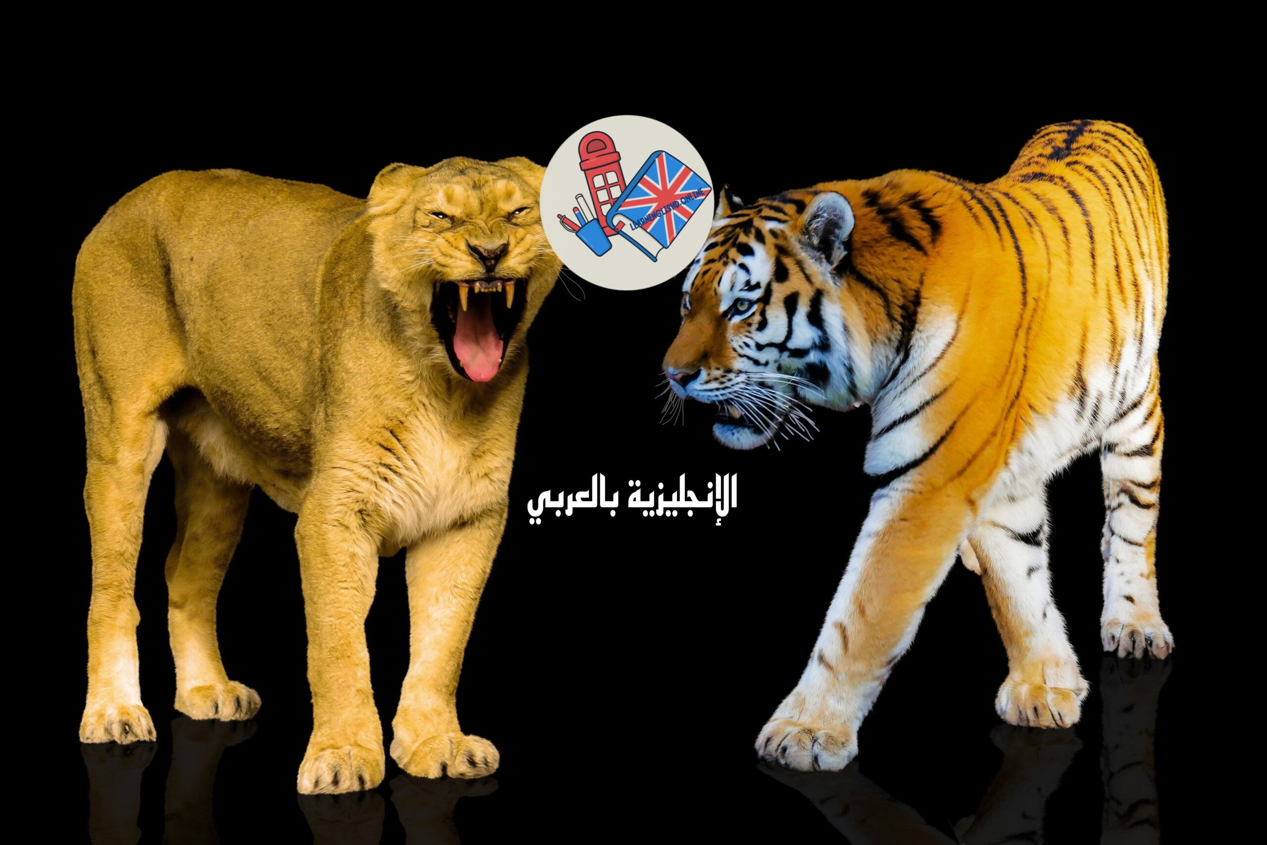 الثدييات وجسم الحيوانات بالإنجليزي والعربي